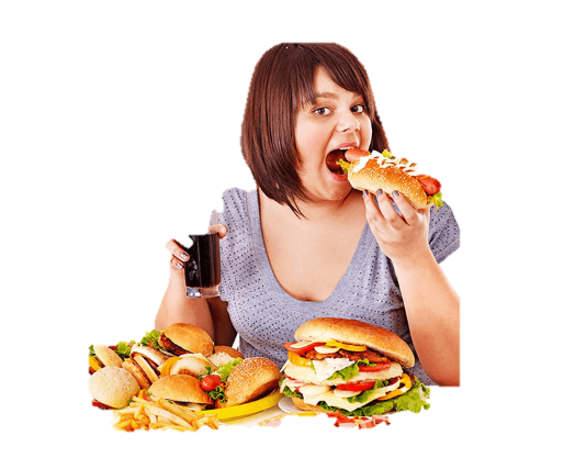 Vega Slim, composizione, ingredienti,  funziona, come si usa 